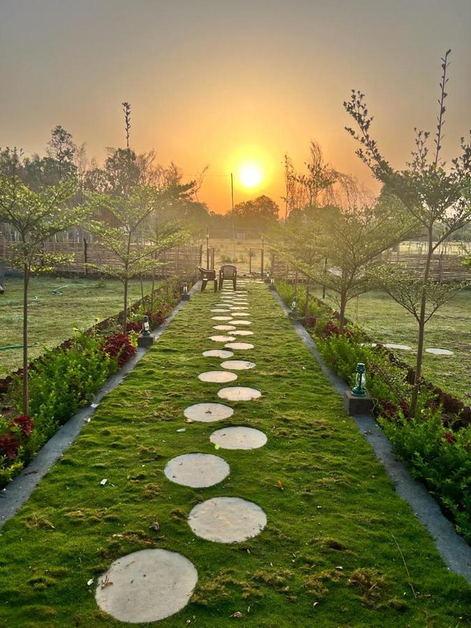 Jewel Of Jungle Apartment Tala  Luaran gambar