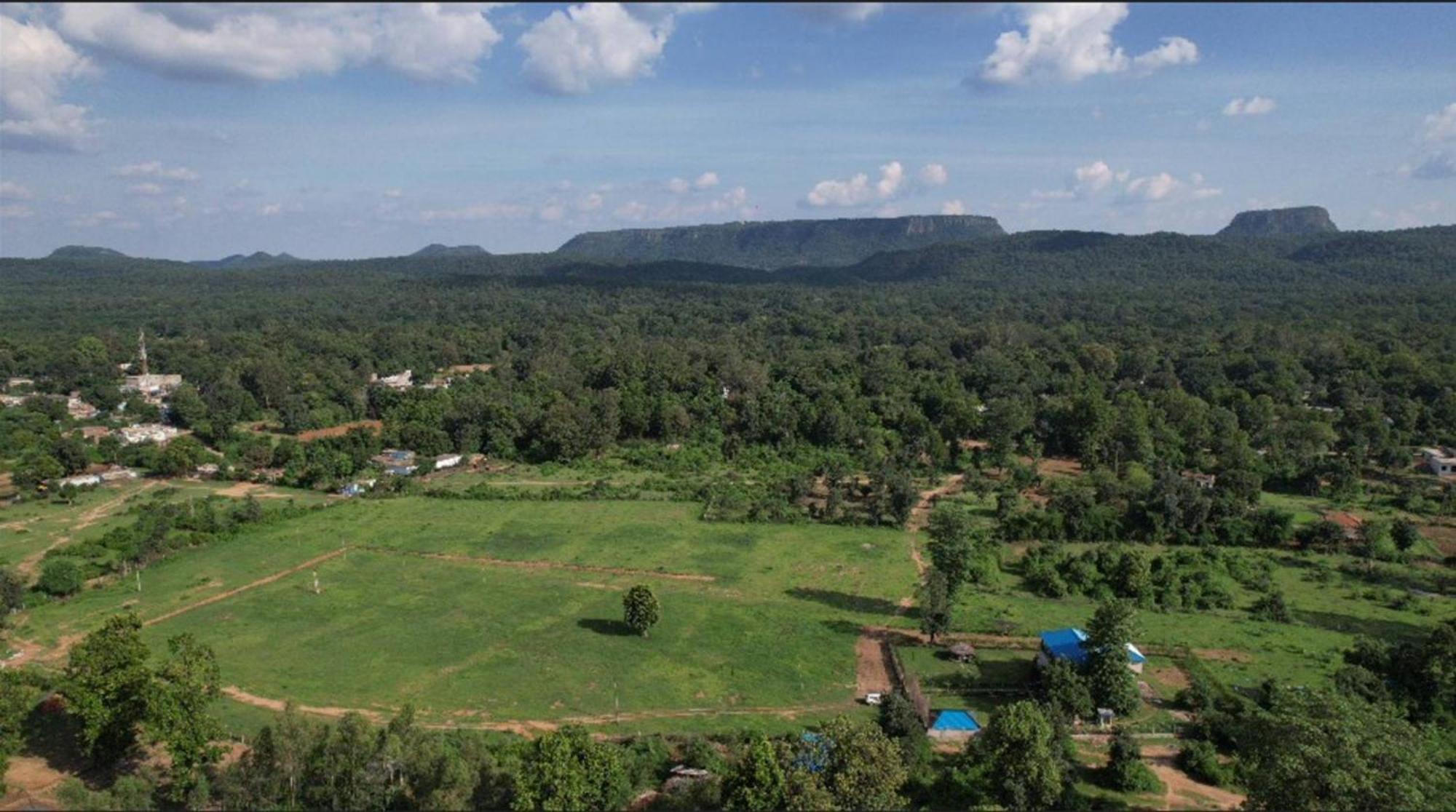 Jewel Of Jungle Apartment Tala  Luaran gambar